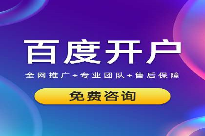 百度竞价推广运营策略：成功案例解析